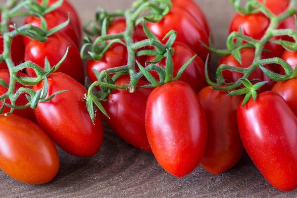120+ Roma Tomato Seeds – Heirloom – Organic – NON GMO —- FRESH