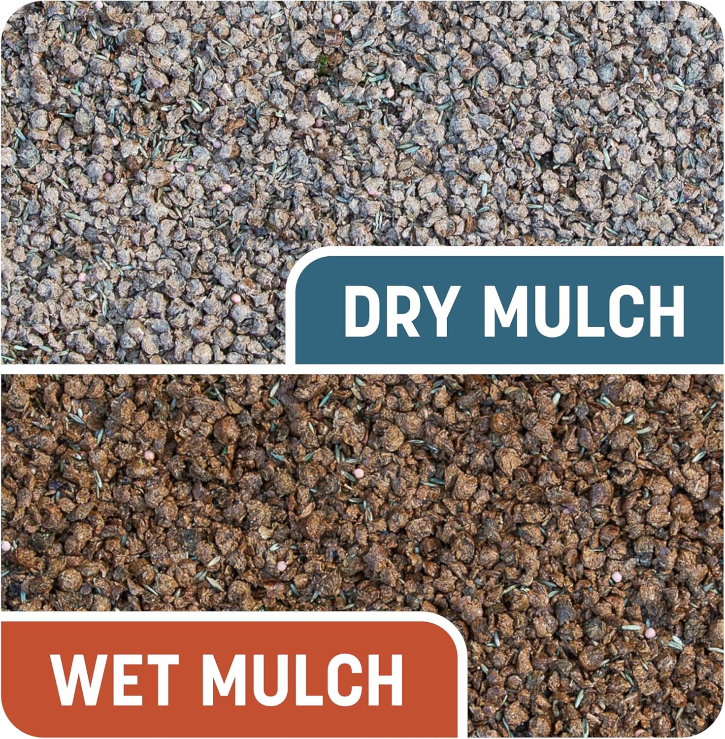 Smart Patch Bermudagrass 5Lb 100 Sq. Ft. Grass Seed Bare Spot Repair with Mulch