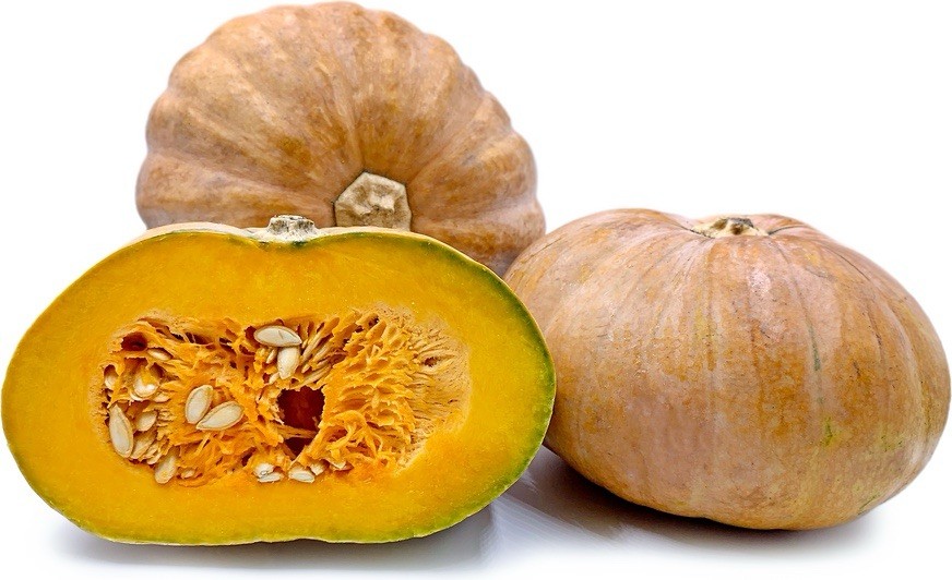 35 Calabaza Pumpkin Seeds | Cucurbita Moschata – Organic