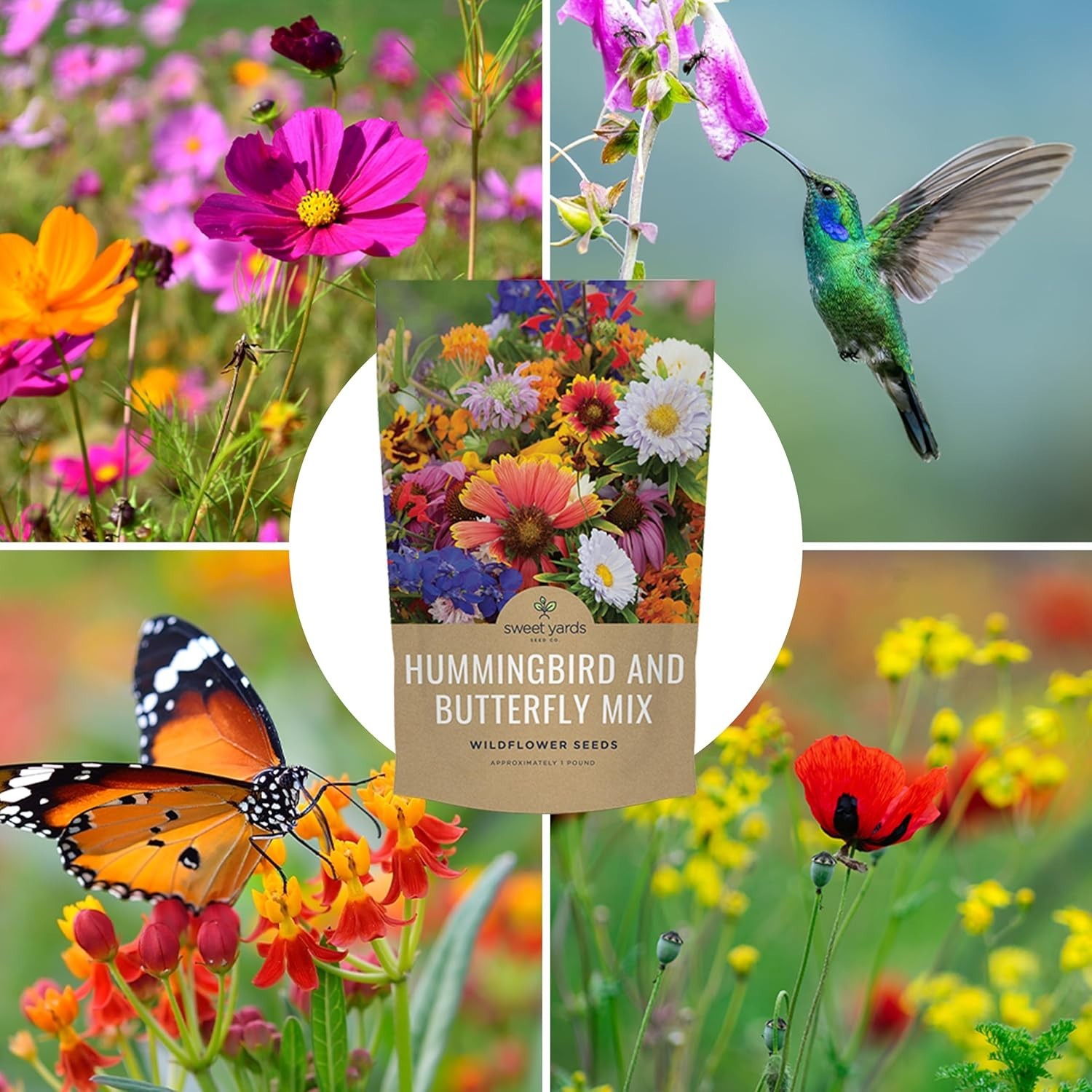 Vibrant Hummingbird Butterfly Garden Seeds – 1 lb