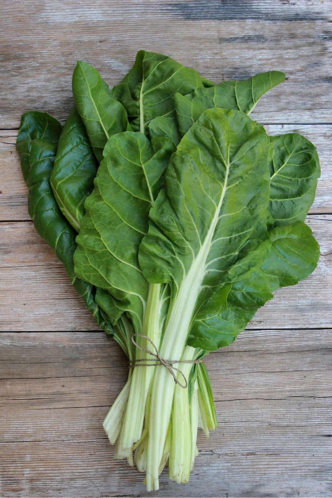 50+ PERPETUAL SPINACH SWISS CHARD SEEDS FRESH HARVEST FOR GARDENS
