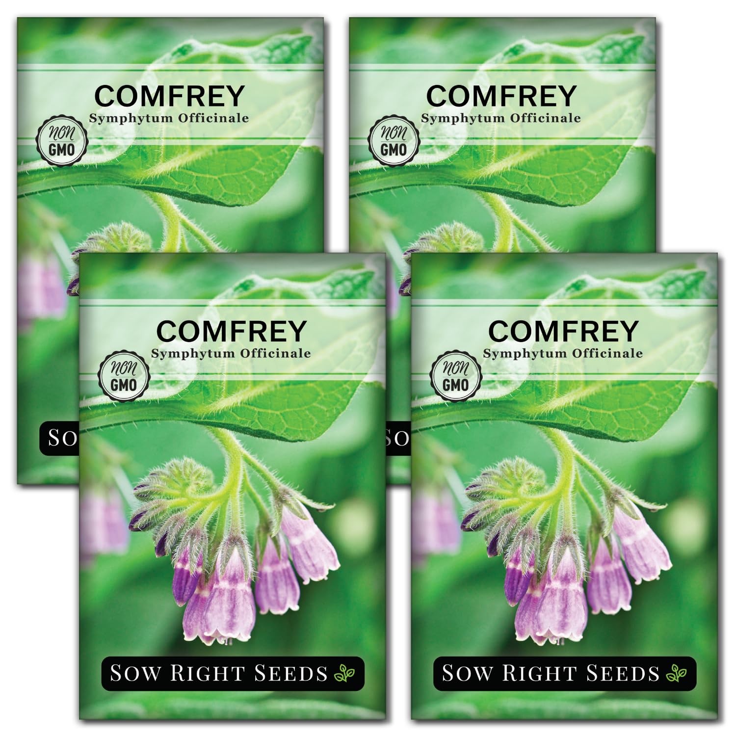 Sow Right Seeds Comfrey Seeds Non-GMO Heirloom Medicinal Garden Herb