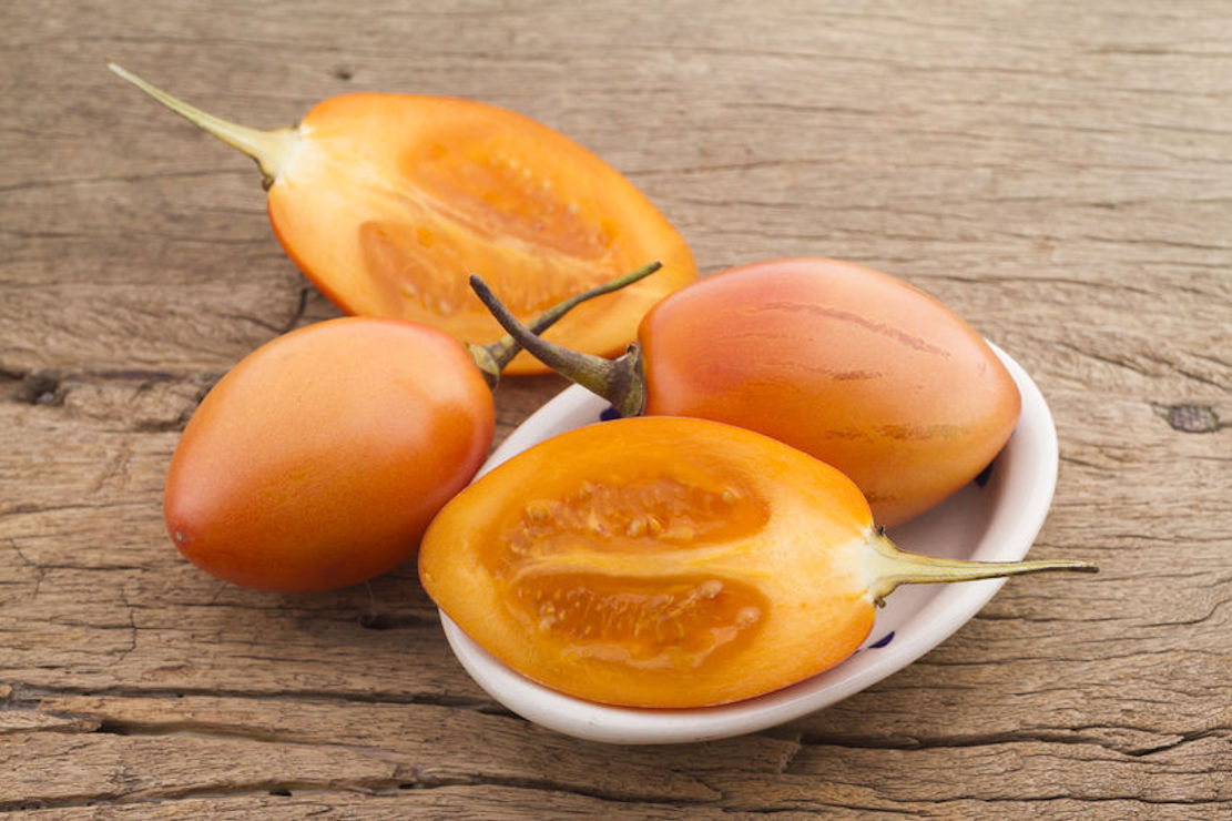 10 Seeds Solanum Betacea Yellow Tropical Tree Tomato Very RARE Overstock Price