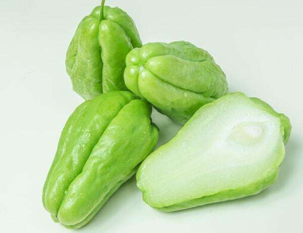 1 Chayote Plant Vegetable Live Plant 10” With Pot Ready To Plant