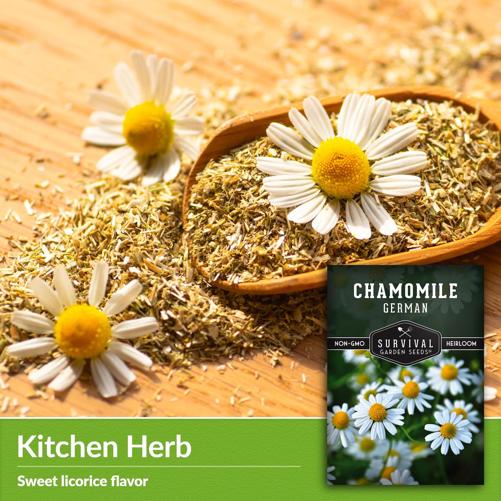 German Chamomile Seeds for Planting – Heirloom Tea Herb & Edible Flower – Non…