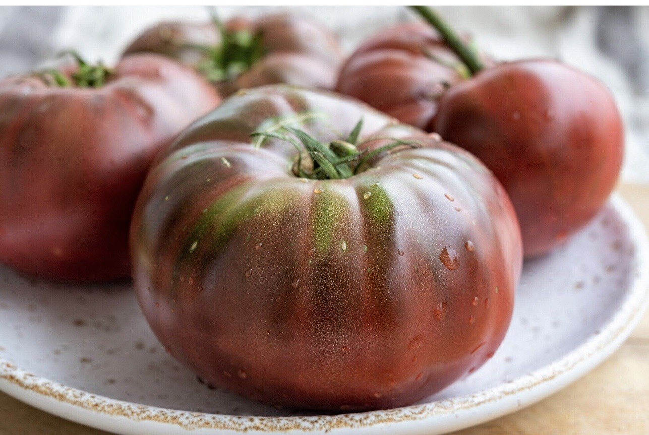 50 Tomato Black Krim Great Garden Heirloom Vegetable -| Non-GMO