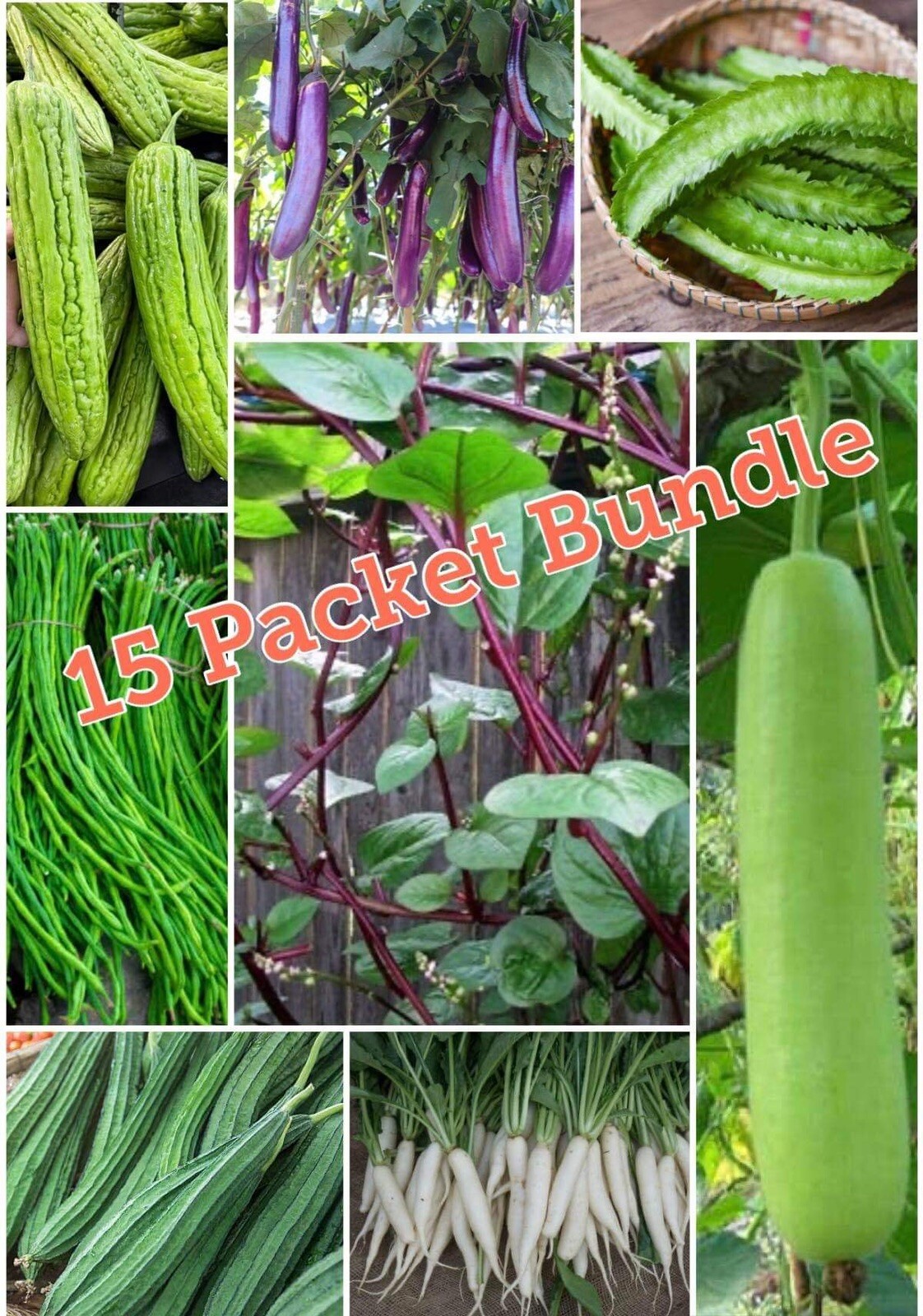 15 Packet Bundle – Asian Vegetable SEEDS for Planting