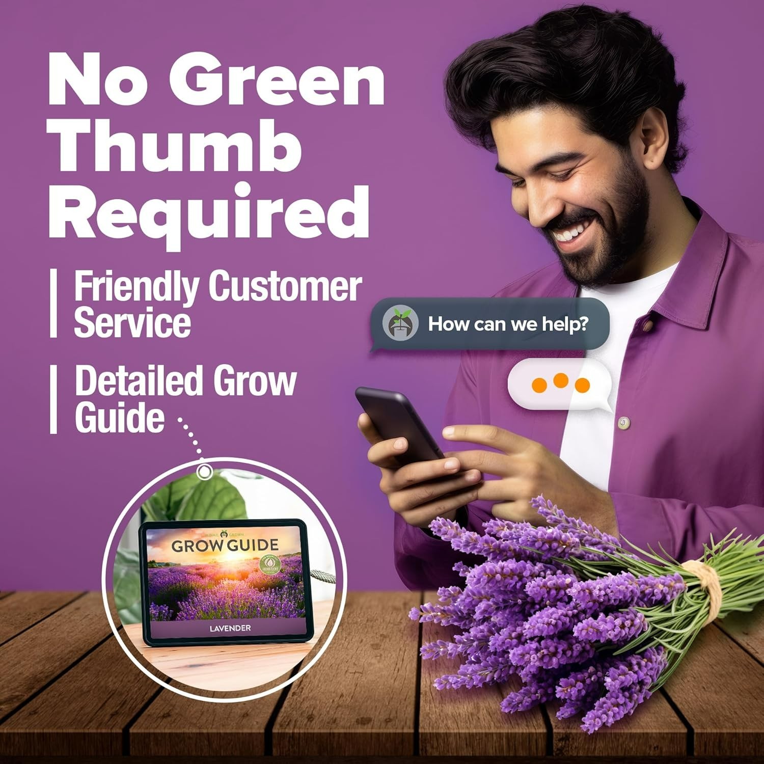 English Lavender Seeds Non-GMO – Indoor/Outdoor with Comprehensive Grow Guide