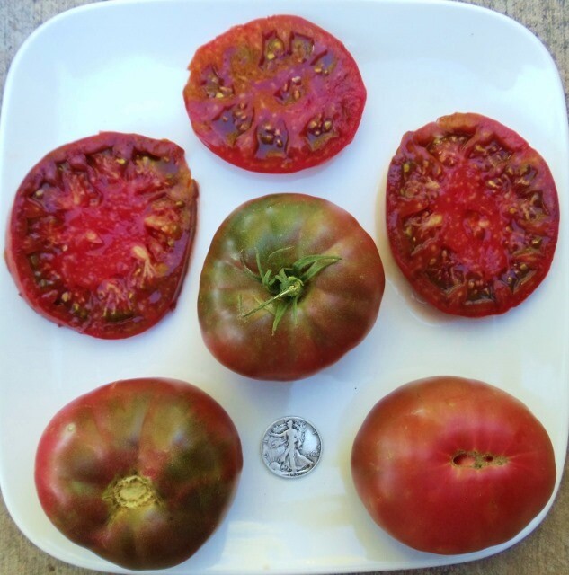 Black Krim – Most Popular Purple! – +25 Seeds Buy any 3 or more items, 10% off