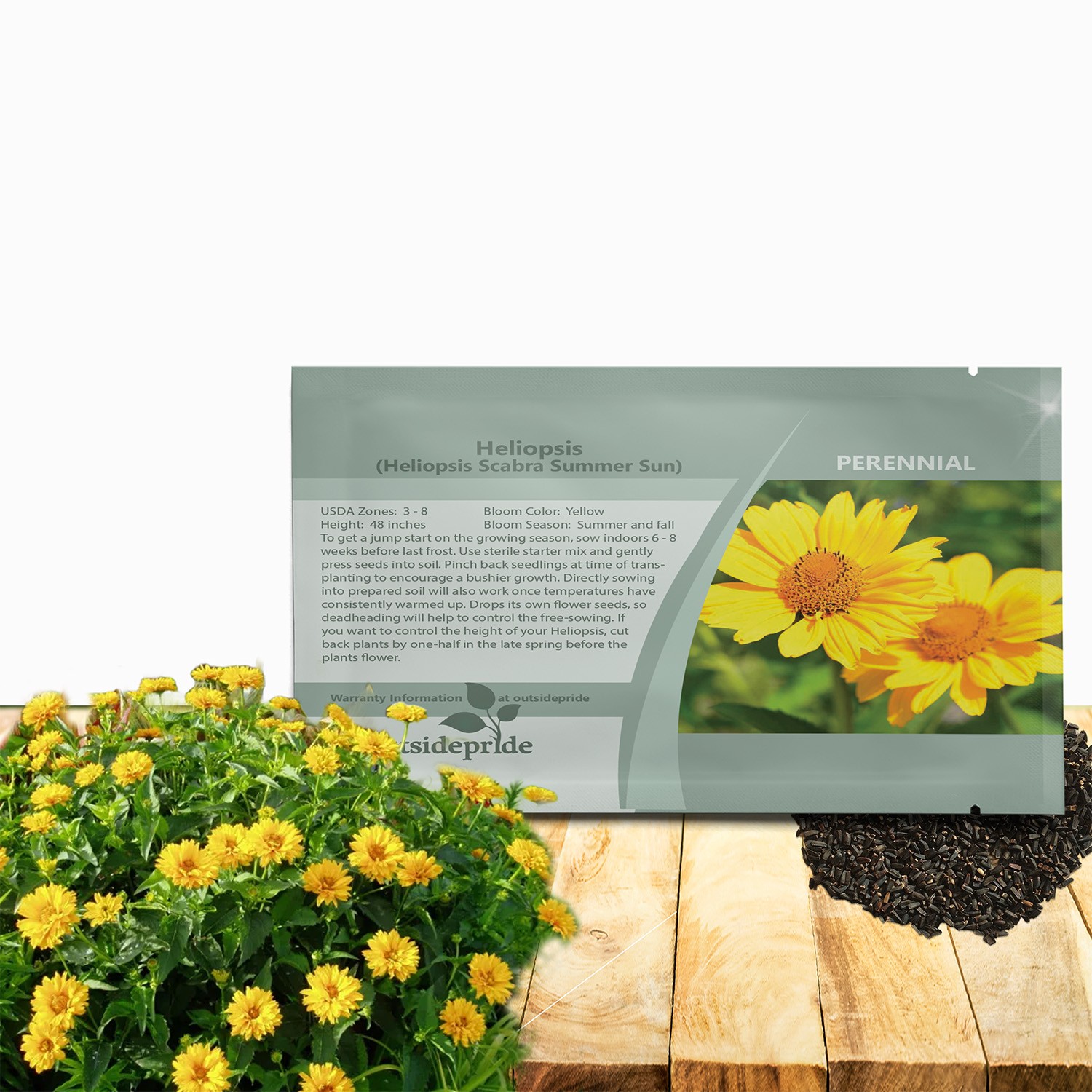 1000 Seeds Drought Tolerant Heliopsis Summer Sun Garden Flower Plant Seed