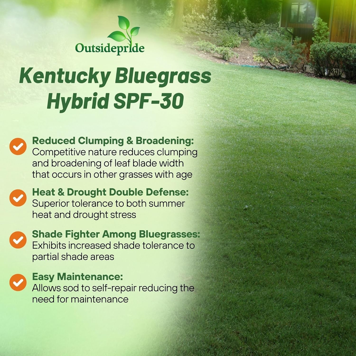 5 LBS – OptiGrowth Coated SPF-30 Hybrid Heat & Drought Tolerant Kentucky