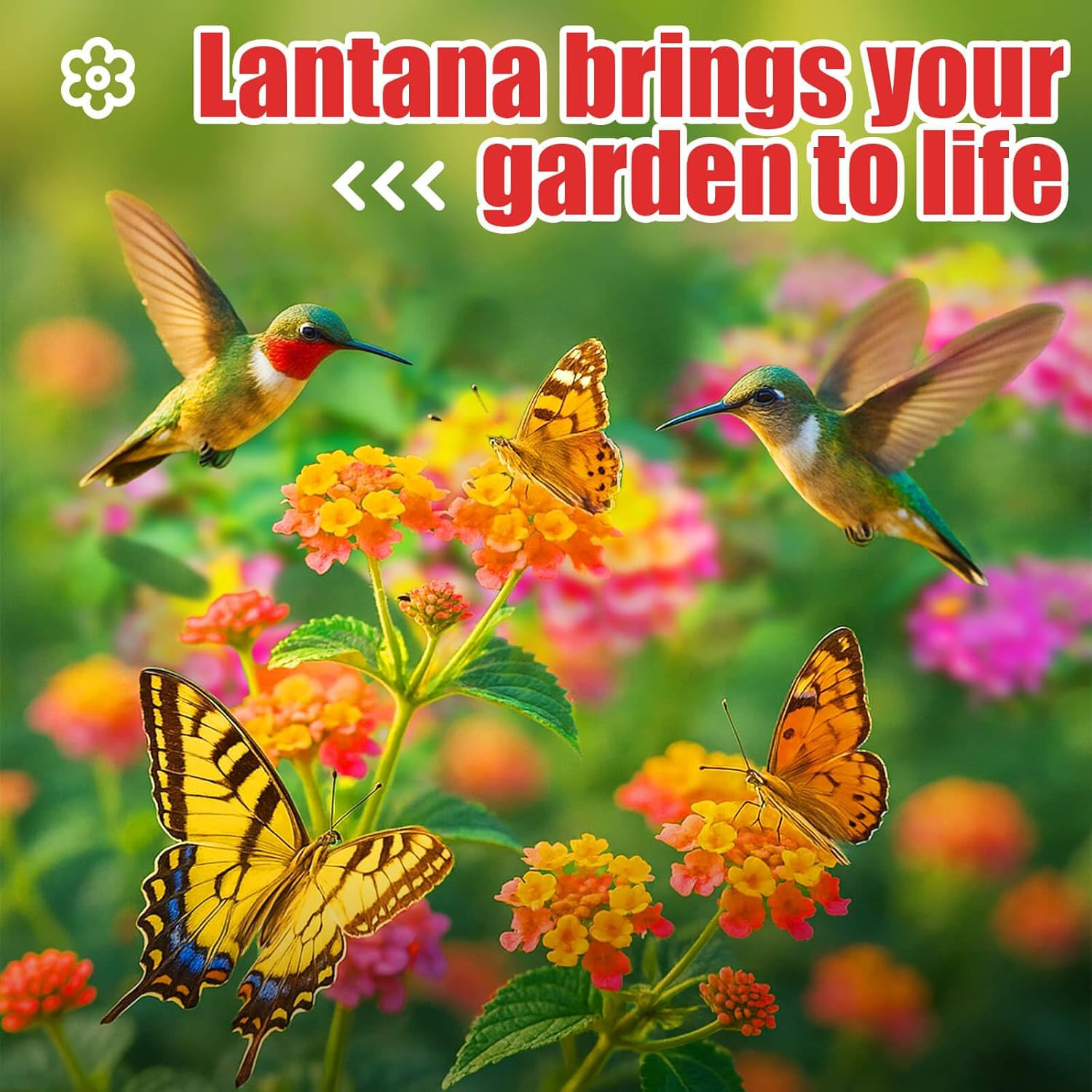 900+ Lantana Flower Seeds – Mixed Colors | Heat & Drought-Tolerant, Easy to Grow