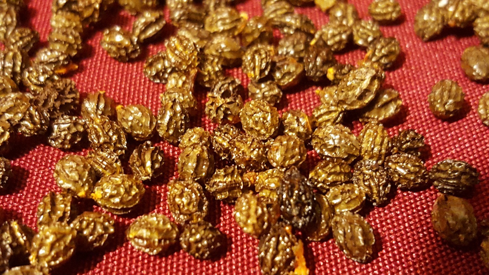 papaya fruit tree seeds choose 100 to 1000 seeds