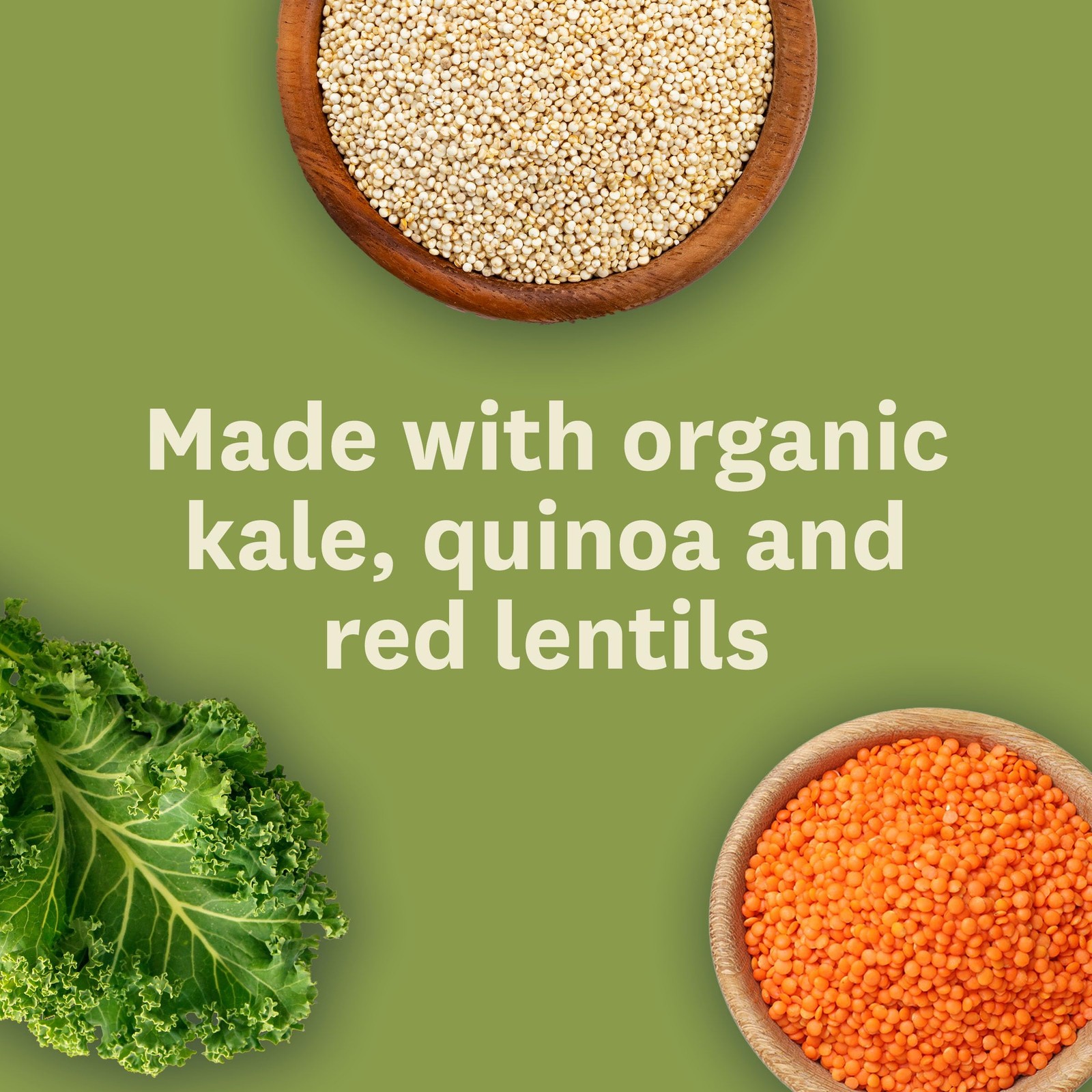 Amy’s Soup, Vegan, Gluten Free, Organic Kale, Quinoa and Red Lentil, 14.4 Ounce