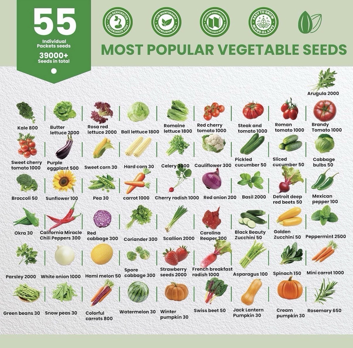 55 Vegetable Seeds Variety Pack – 39,000+ Heirloom Seeds for Planting Vegetab…