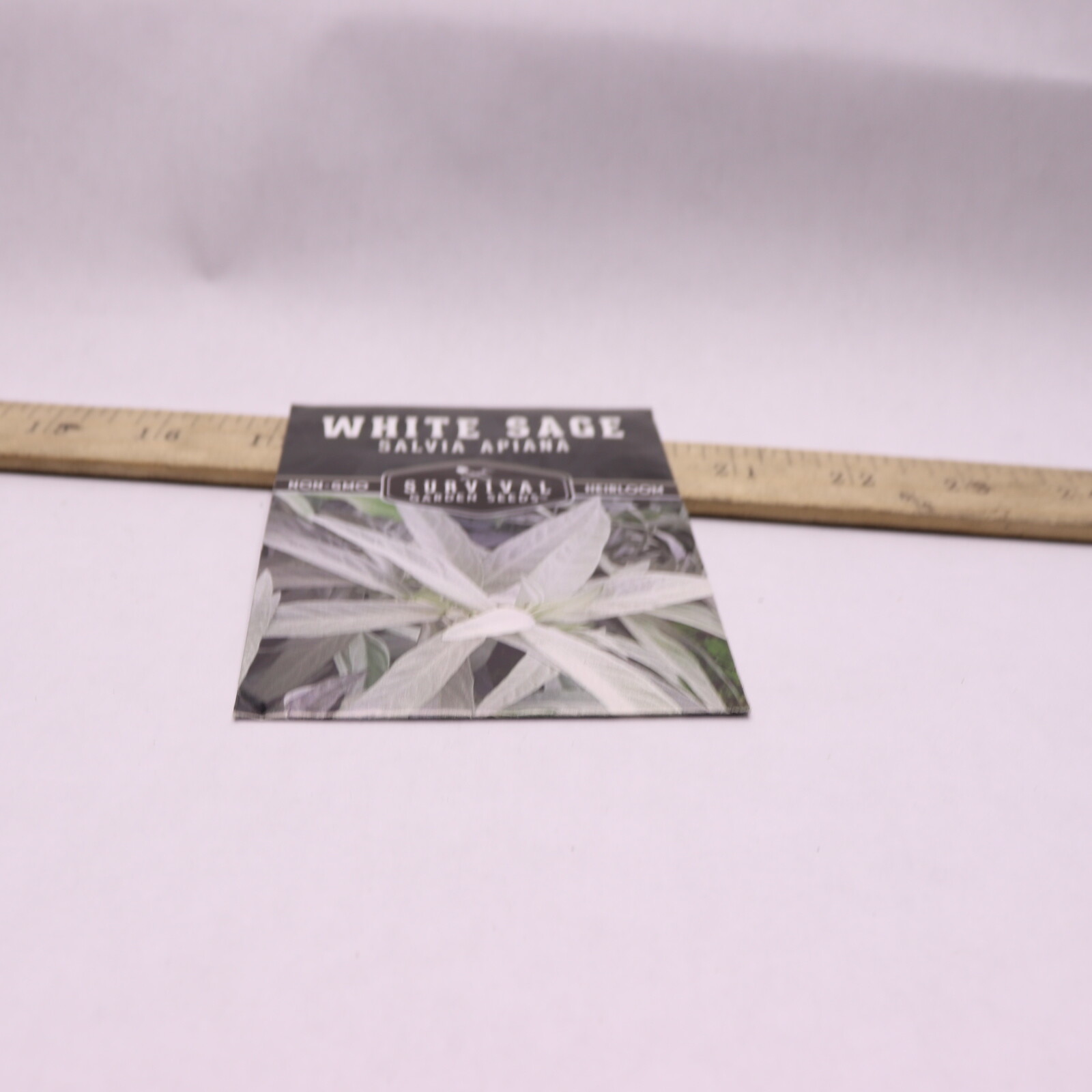 Survival Garden White Sage Seed Non-GMO Heirloom