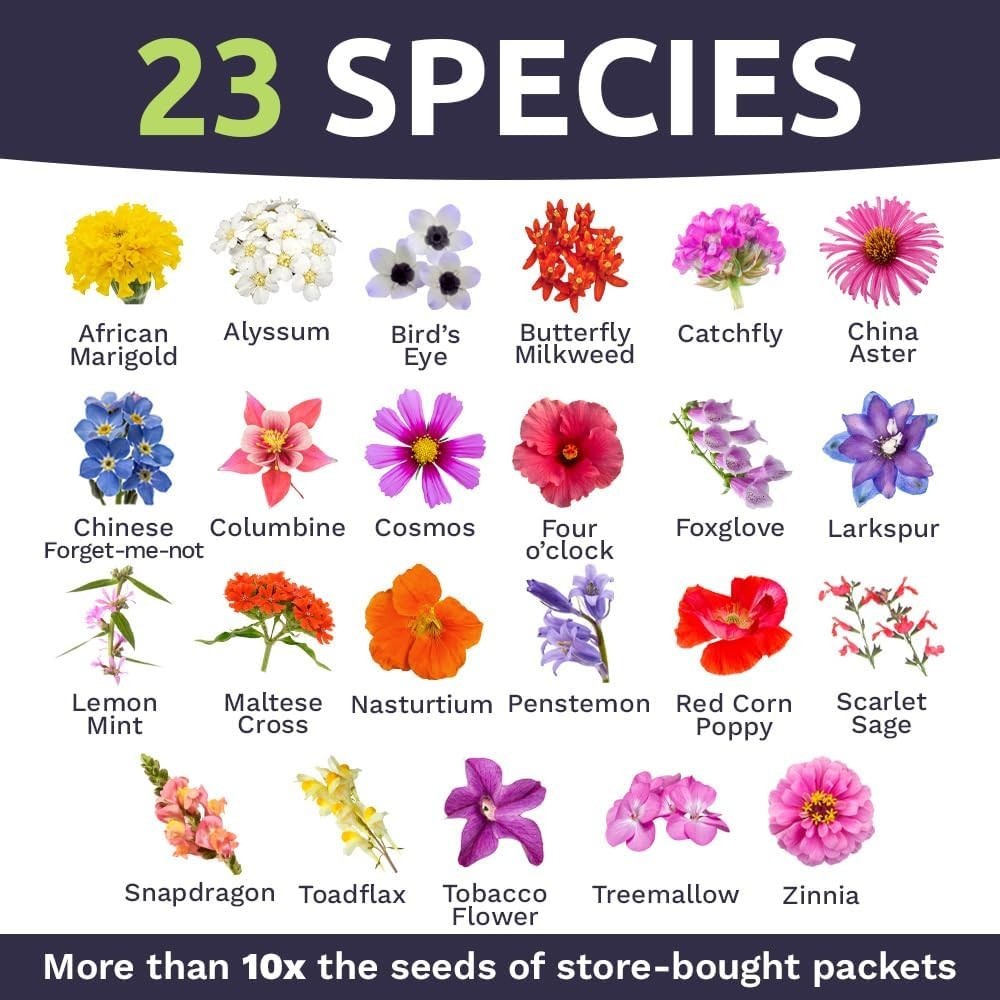 Attract Butterflies & Hummingbirds: 7,500 Heirloom Wildflower Seeds in 1 Ounce