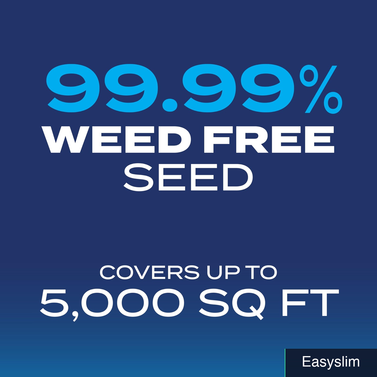Grass Seed Drought Tolerant Mix Kentucky Bluegrass Tall Fescue 10 lb