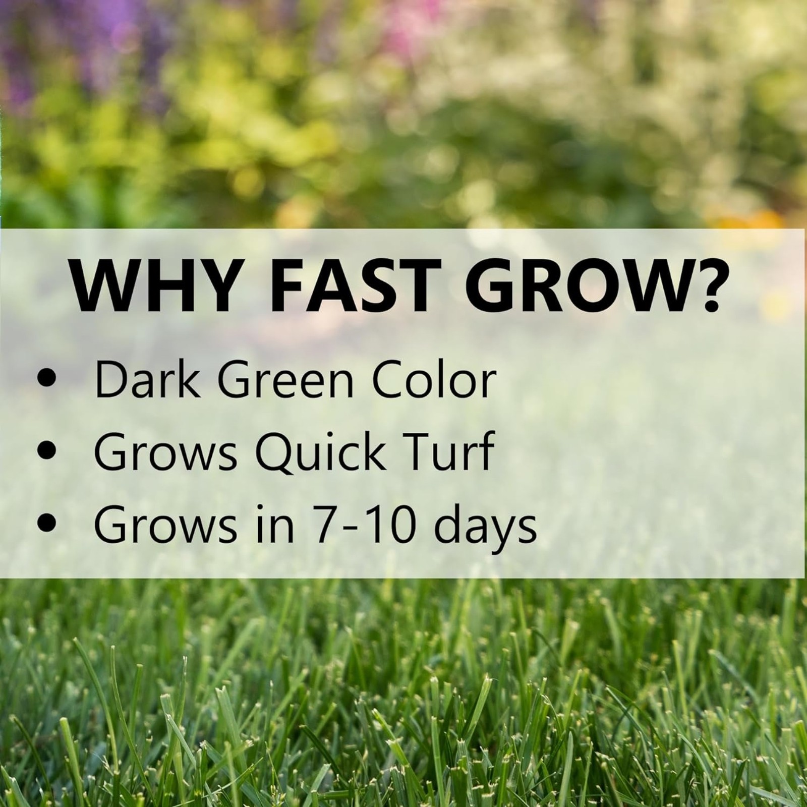 Jonathan Green (#10830) Fast Grow Grass Seed Mixture, 15lb bag, 4 Pack