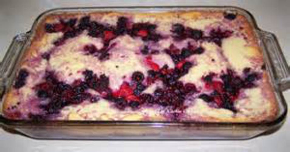 Black Raspberry Bush Seeds – SWEET DELICIOUS FRUIT – COMB. S/H See Our Store!