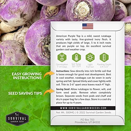 – Pack American Purple Rutabaga Seed for Planting with Instructions to Grow 1