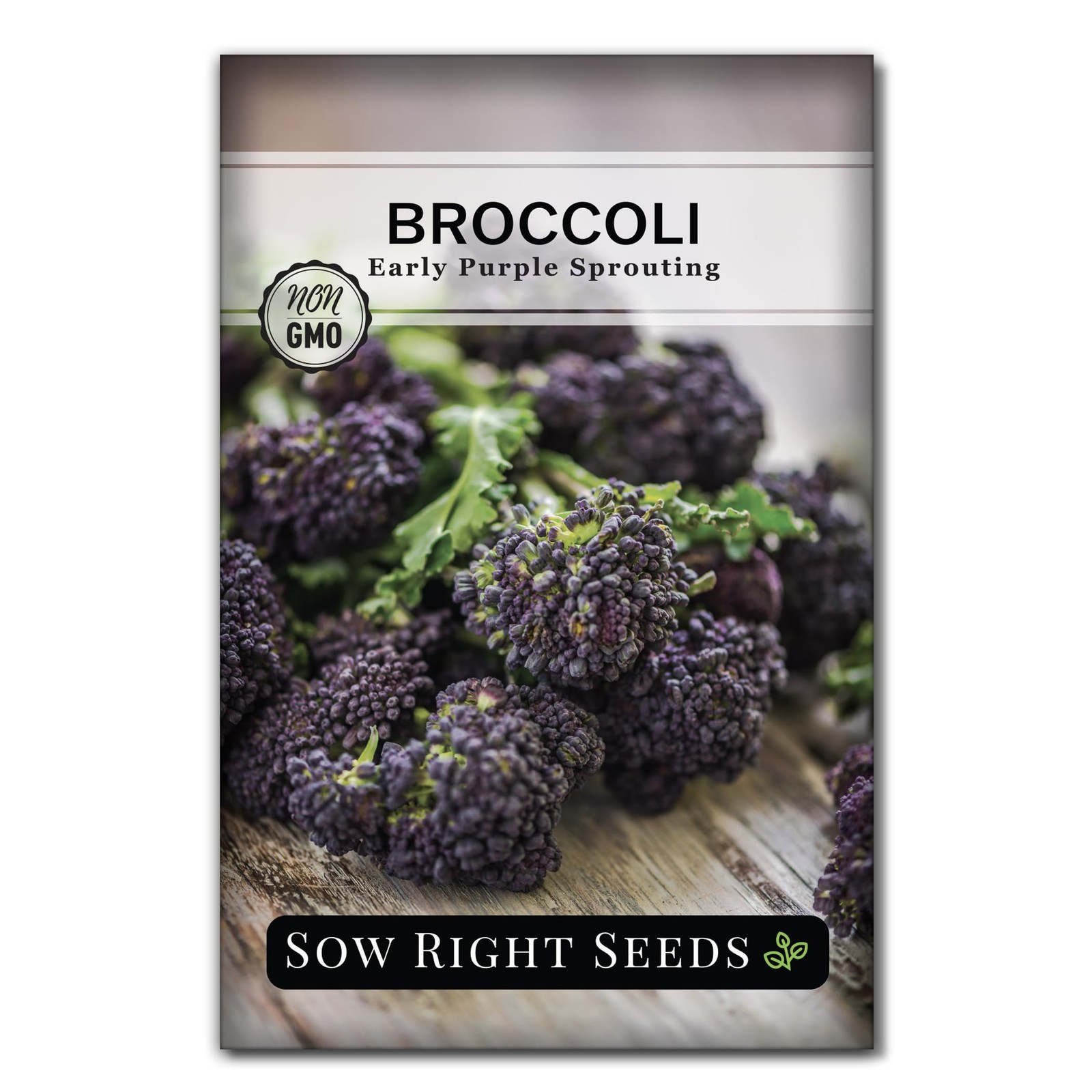 – Early Purple Sprouting Broccoli Seeds for Planting – Non-GMO Heirloom Packe…