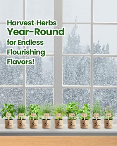 Culinary Herb Seeds Variety Pack – 9 Heirloom Kits for Indoor/Outdoor Gardening