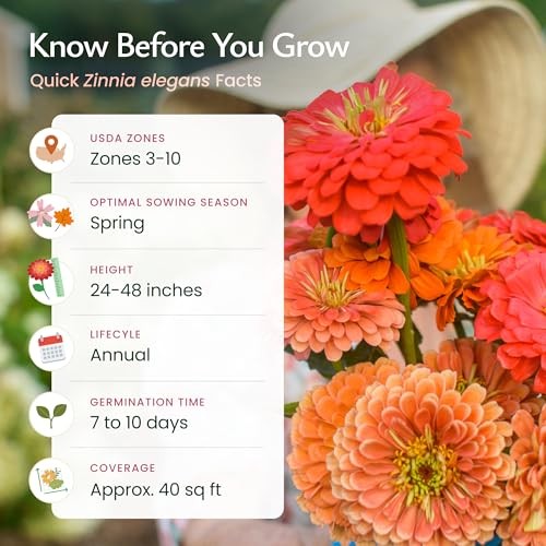 California Giant Zinnia Wildflower Seeds, Multi-Colored Flower Varieties,