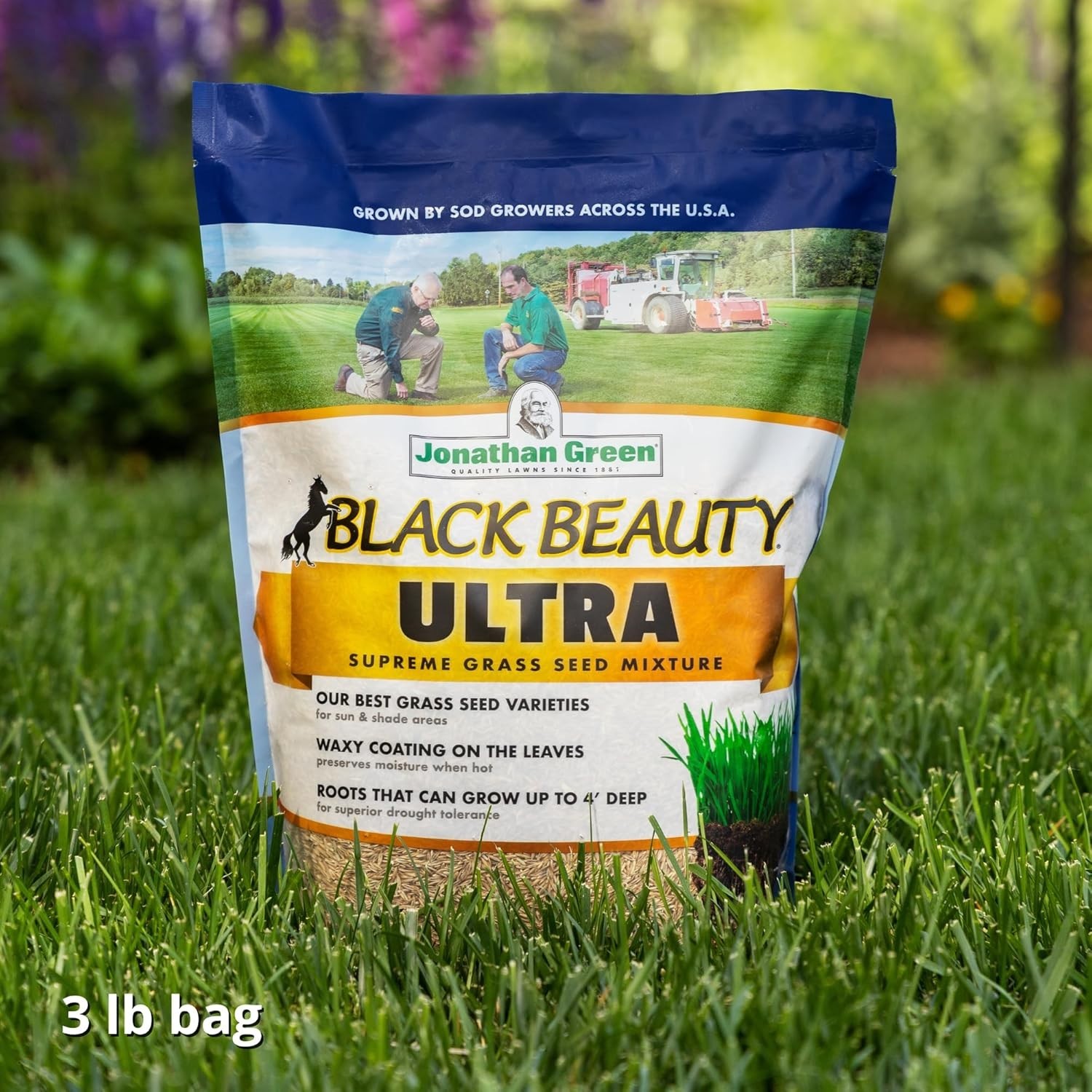 Black Beauty Ultra Grass Seed 3 lb – Quick-Germinating Cool Season Lawn Solution