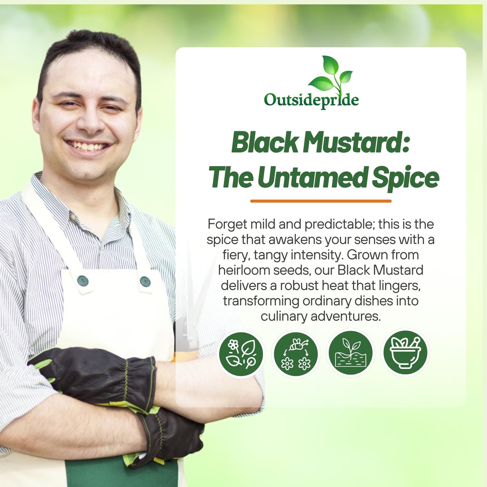 Black Mustard Seeds – 5000 Nutrient-Rich Microgreen Seeds for Easy Planting