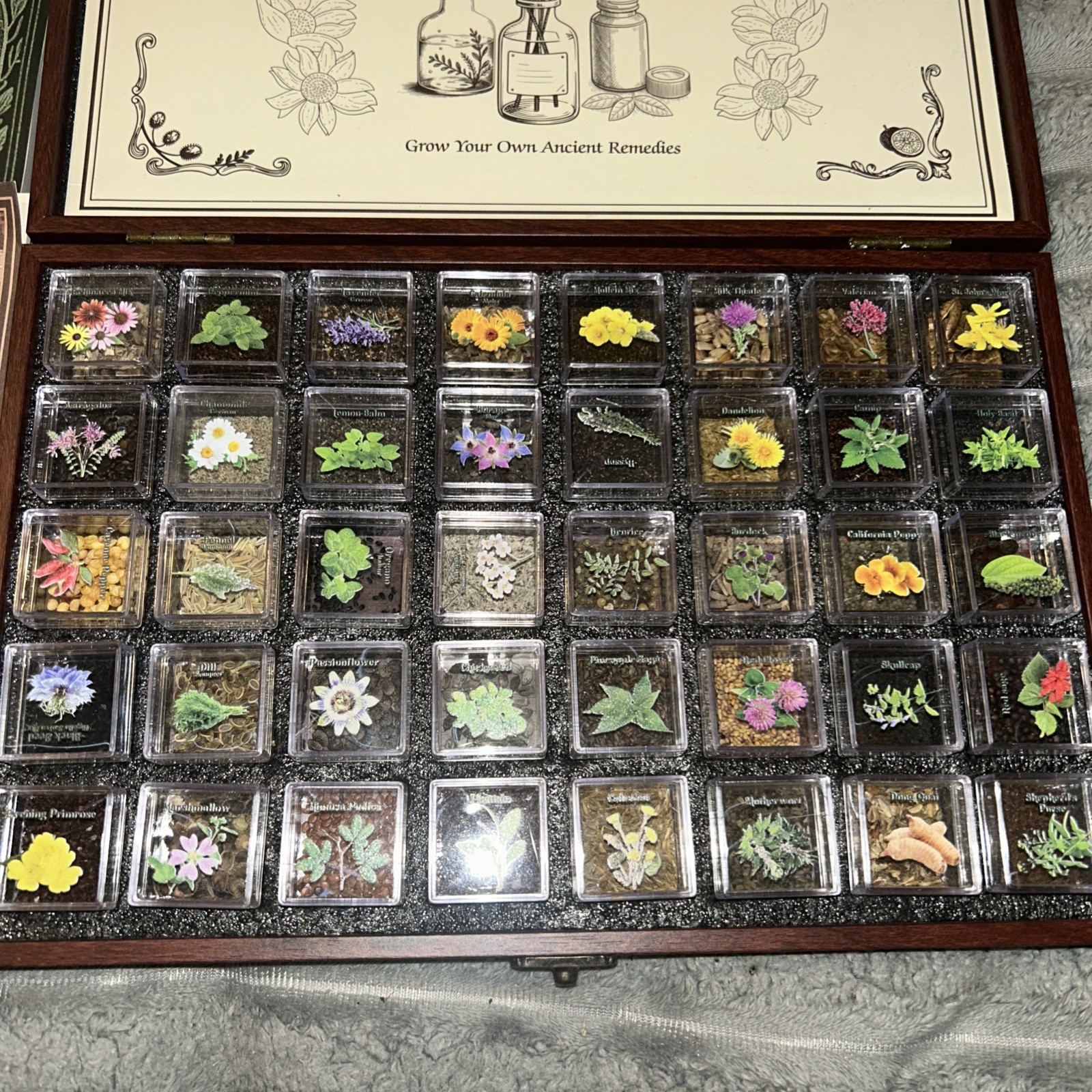 Medicinal Herb Seed Chest 36 000+ Non GMO Survival Kit Lush&Dew Ancestral Gifts