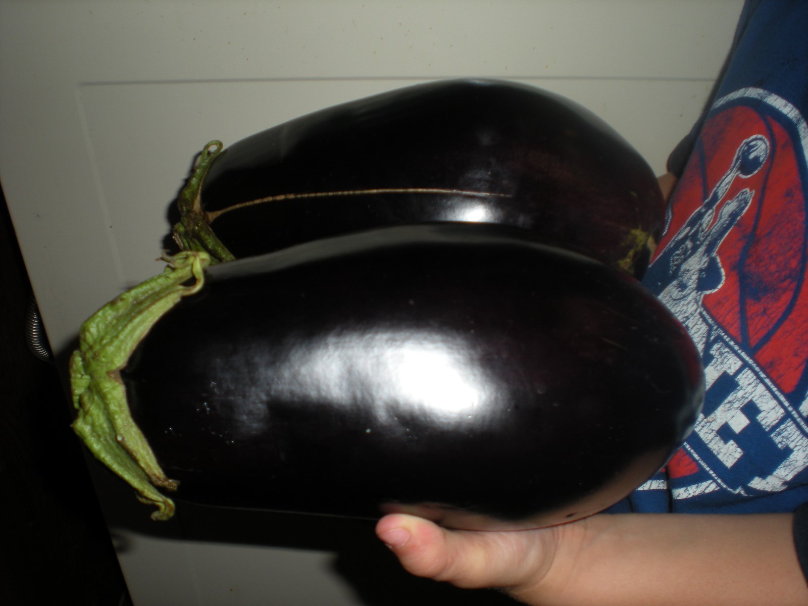 Massive Black Beauty Eggplant – 20 SEEDS – GREAT COLOR & TASTE! Combined S/H