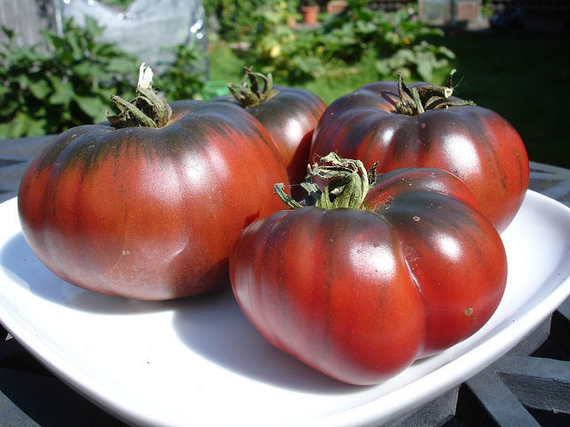 Tomato Black Krim (Lycopersicon Esculentum) Great Garden Heirloom 35 Seeds