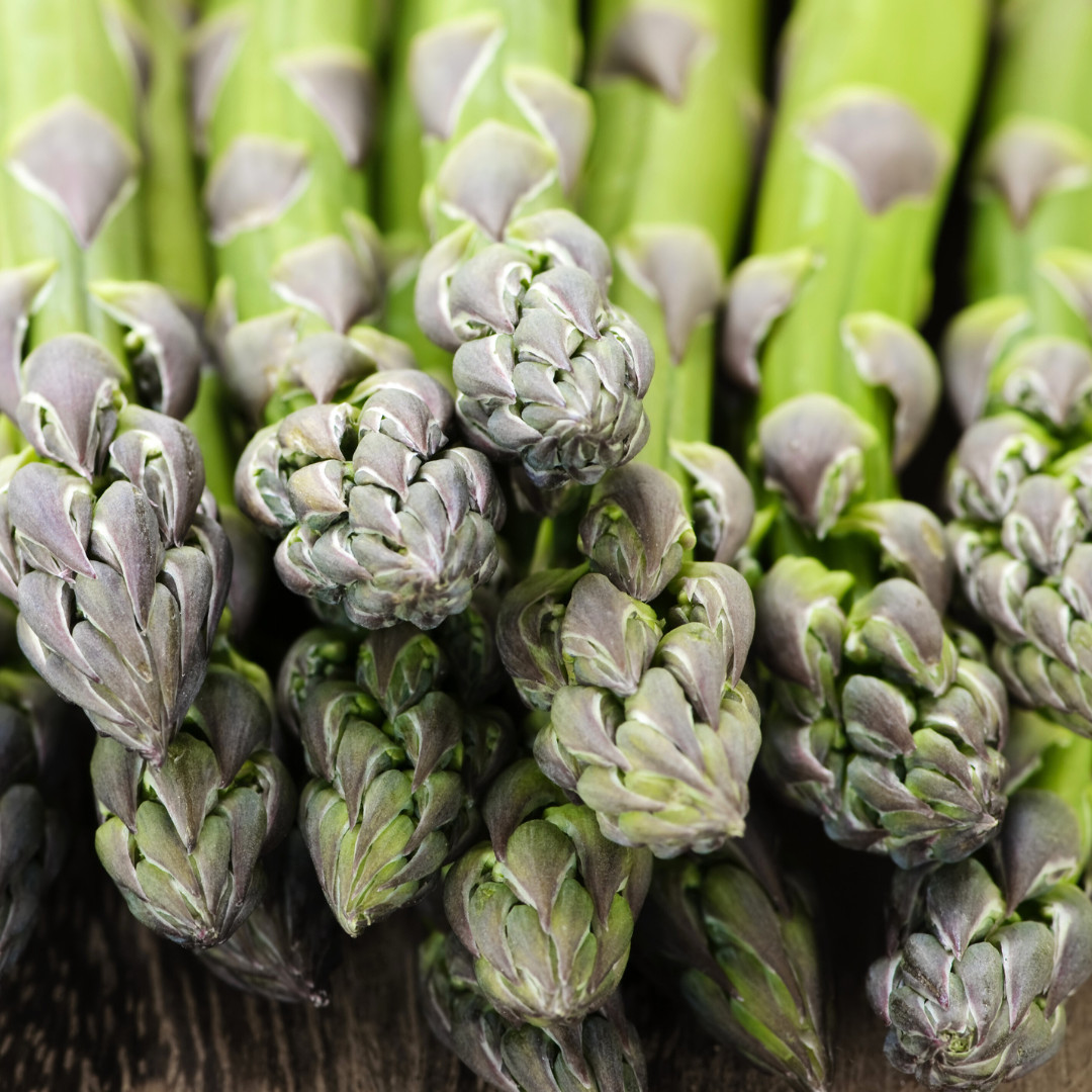 Fresh Asparagus Seeds | Mary Washington | Heirloom Non-GMO | Vegetable Seeds