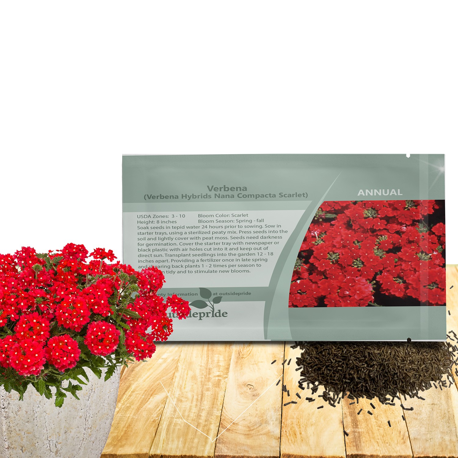 2000 Seeds Verbena Seed – Verbena Hybrida Scarlet Ground Cover Seeds
