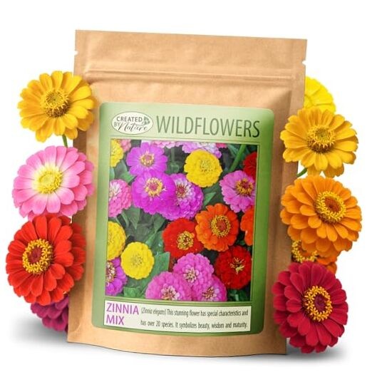 California Giant Zinnia Wildflower Seeds, Multi-Colored Flower Varieties,