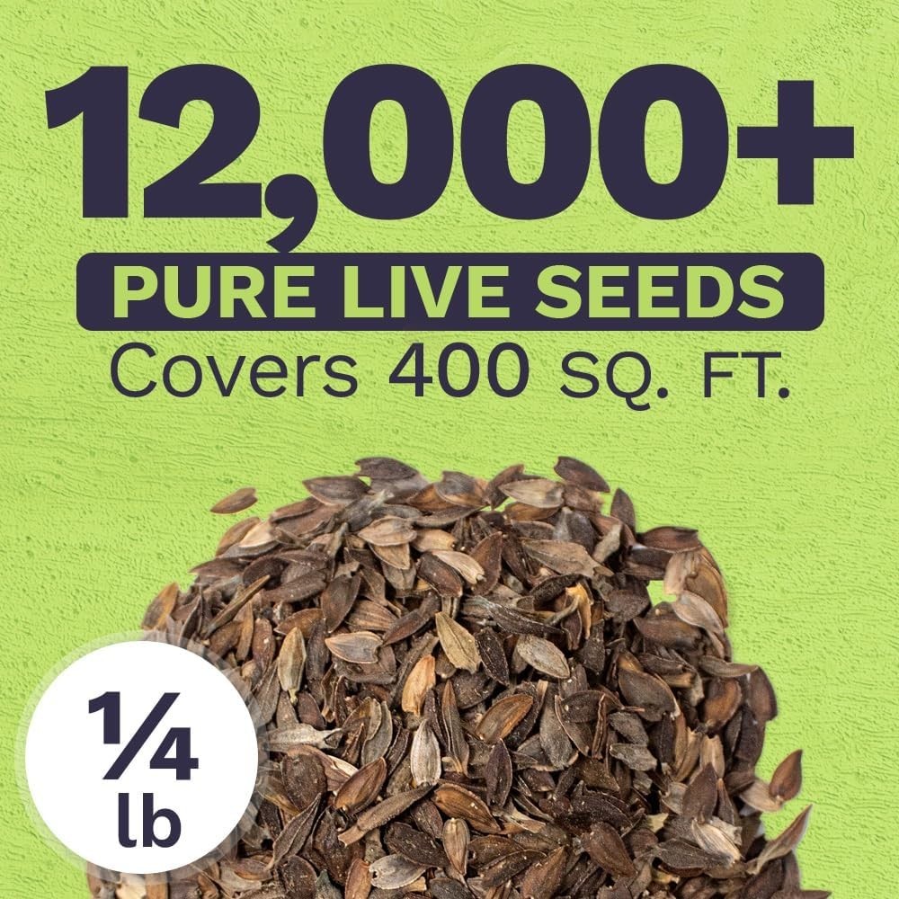 Vibrant California Giants Zinnia Seeds – 12,000 in 1/4 lb Resealable Packaging