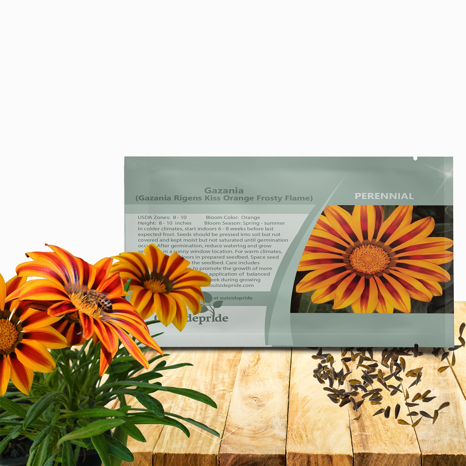 25 Seeds Drought Tolerant Gazania Rigens Orange Flame Groundcover Plant Seed