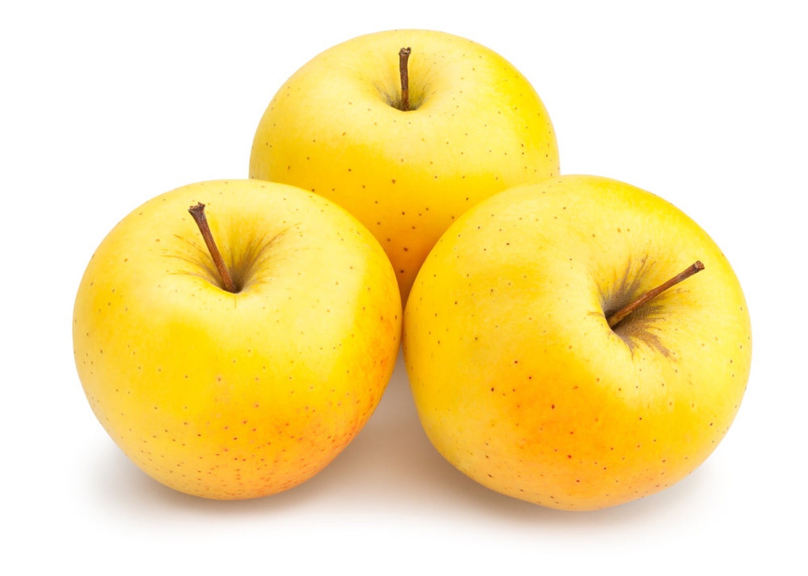 Golden Delicious Apple Tree 5-6 ft tall Grafted, Over sized, Bare root