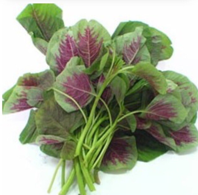 FreeShip 4oz 120,000 Rau Den Red Stripe Leaf AMARANTH Seeds; Chinese Spinach 紅莧菜