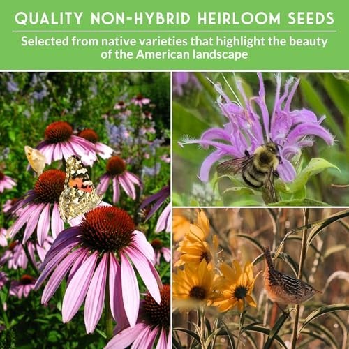 Wildflower Seeds Variety Pack – 24 Non-GMO Perennial & Annual Flowers for Pollin