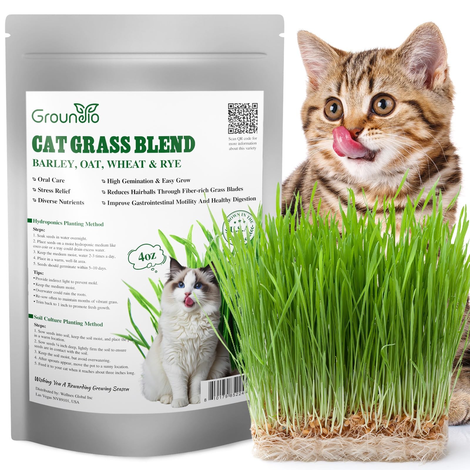 Cat Grass Seeds 4 oz, Cat Grass for Indoor Cats Mix Barley, Oats, Wheat, Rye,…