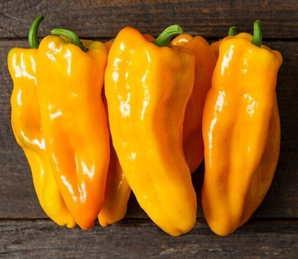 20 Fresh Sweet Golden Marconi Premium | NON-GMO | Pepper Seeds-B 30
