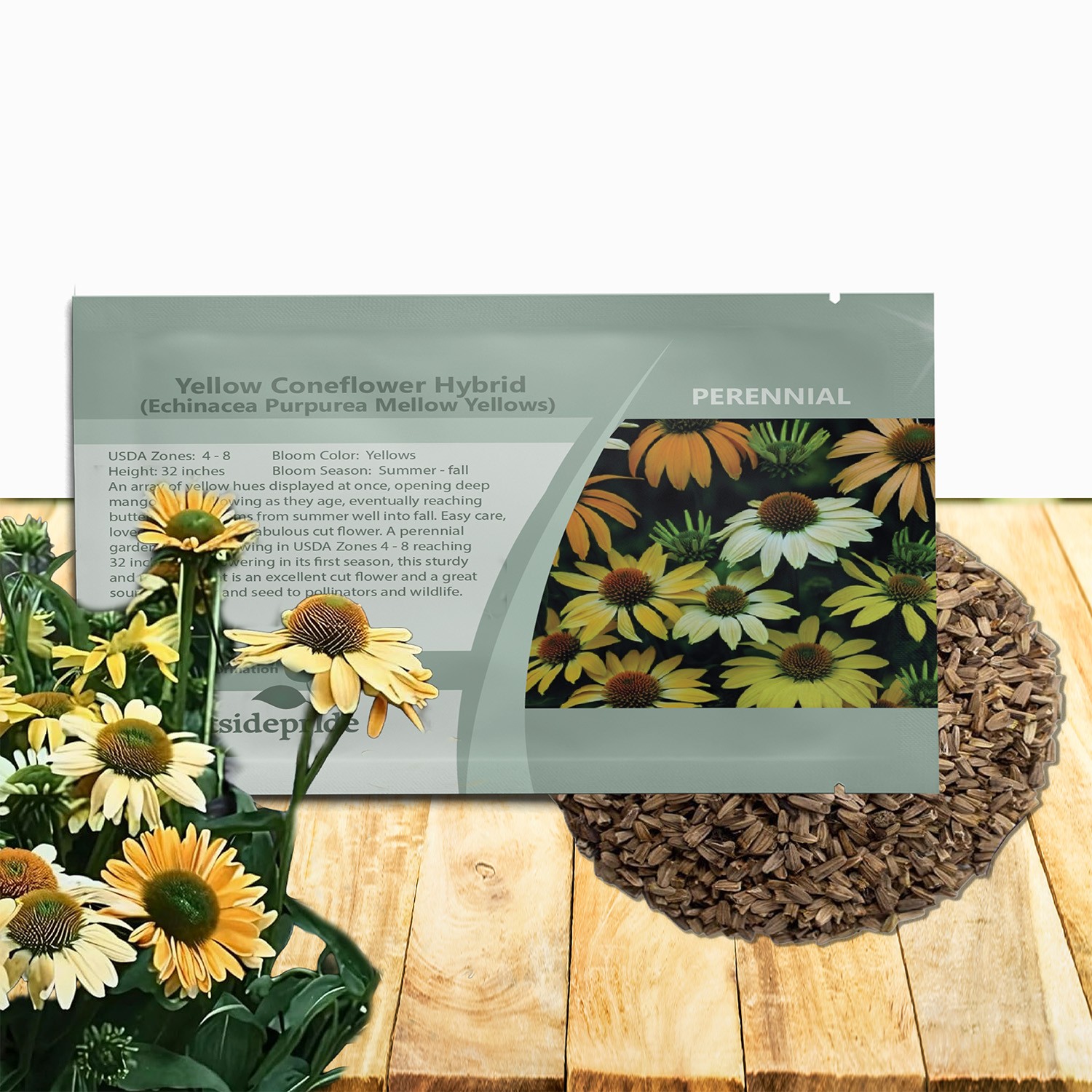 50 Seeds Echinacea Purpurea Mellow Yellows Garden Flower Seeds For Xeriscaping