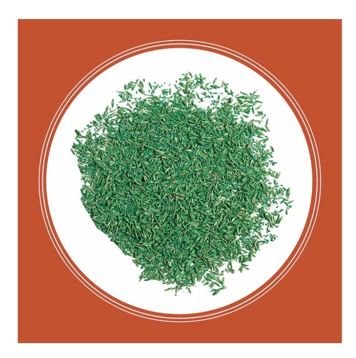 [FASH SALE] Pennington Smart Seed 8.75 lb Bermuda Grass Seed Lawn Seed Premium