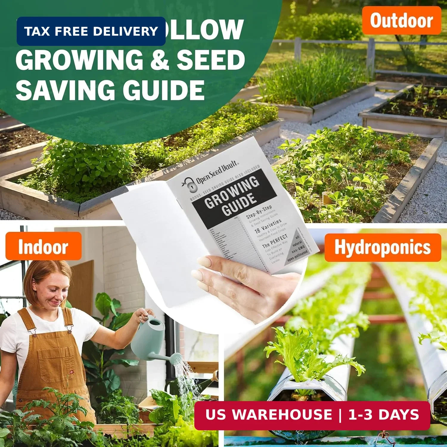 Vegetable & Fruit Seeds | 32 Individual Packs | 2026 Season | Non-GMO, High Yiel