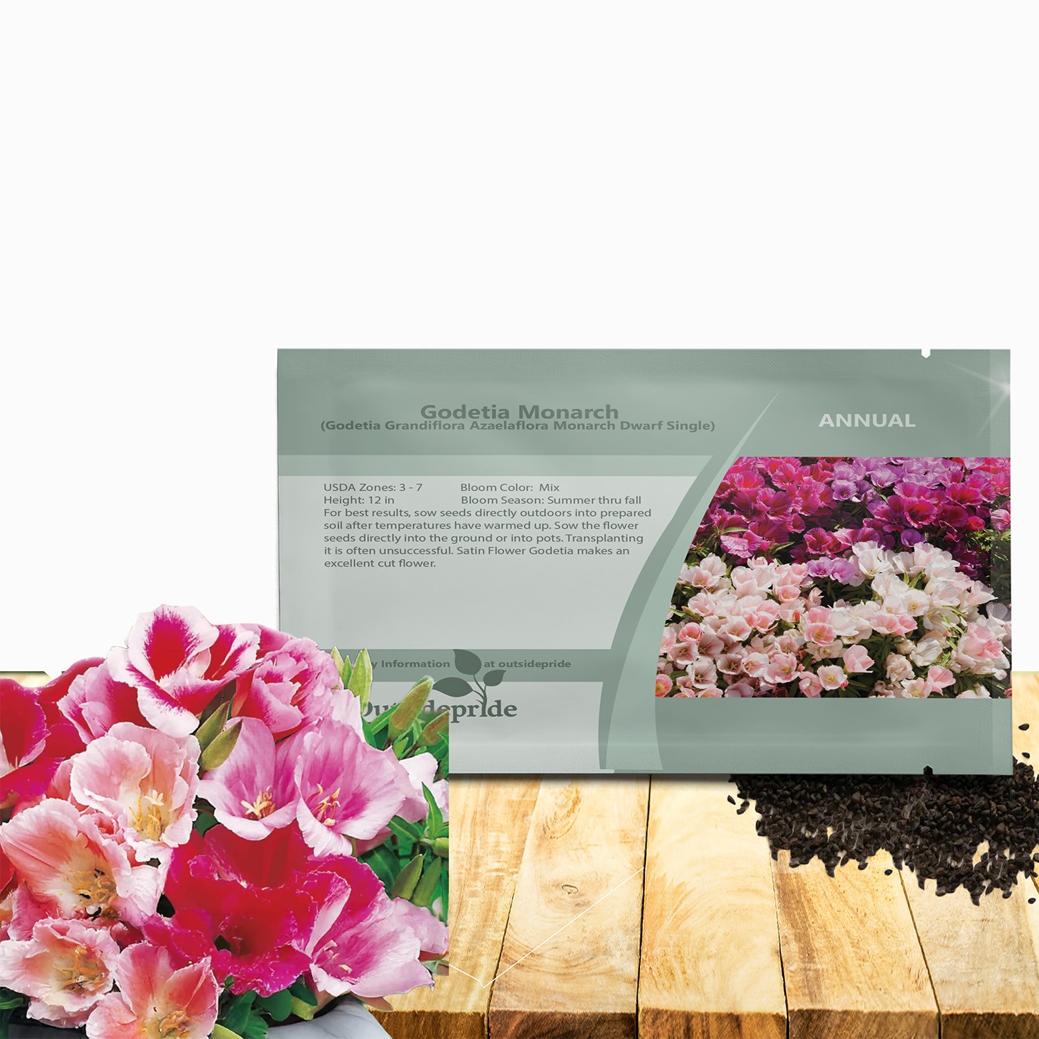 10000 Seeds Godetia Seed – Godetia Grandiflora Dwarf Farewell-to-Spring