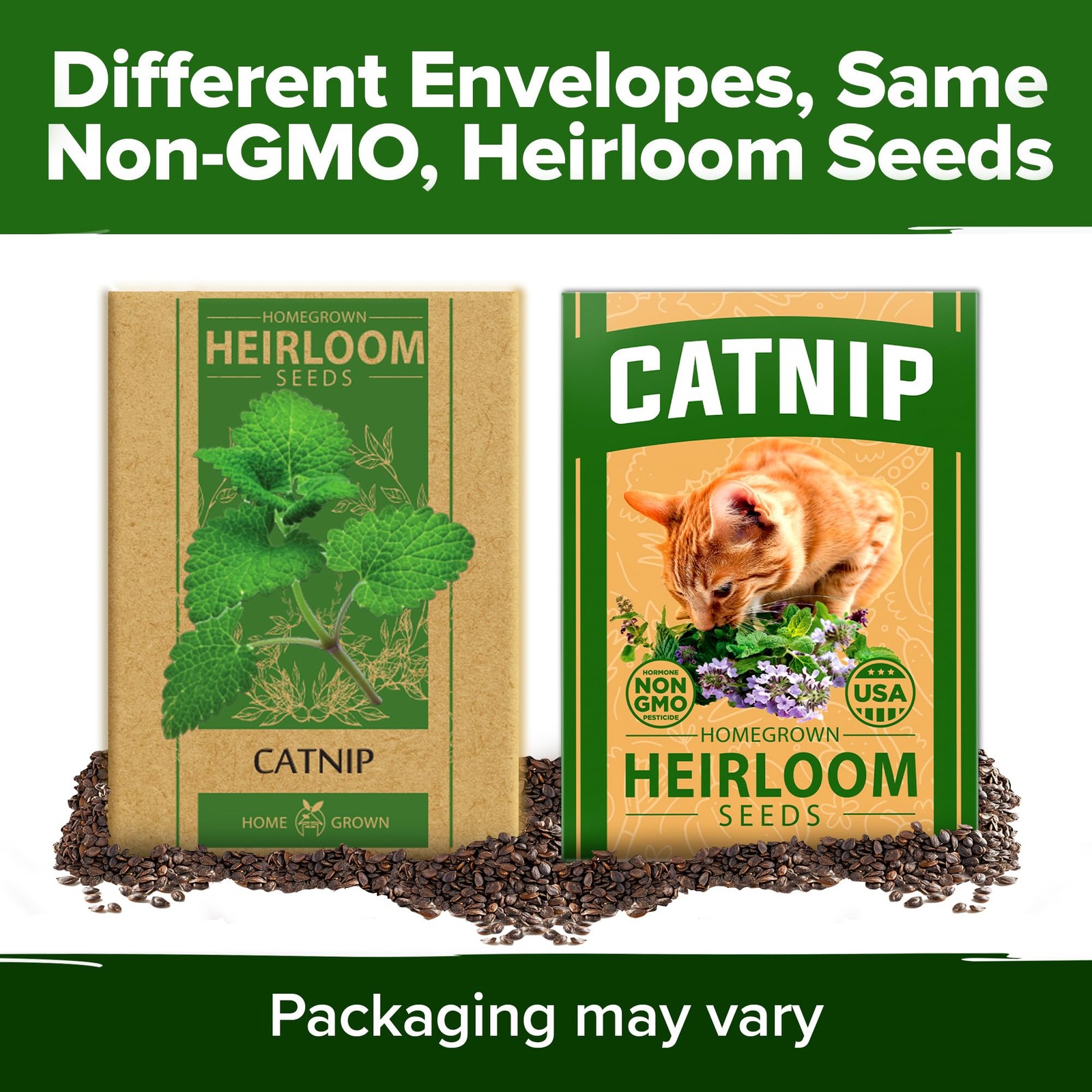 Non GMO Catnip Seeds Bulk Pack Heirloom Herb 2,116 Seeds Indoor or Outdoor S…