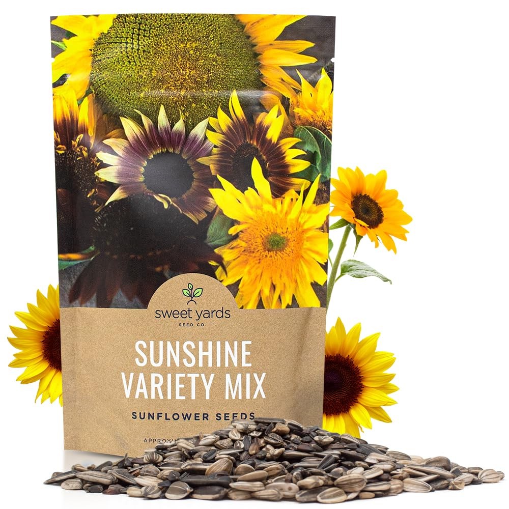Bulk Sunflower Seeds – Variety Mix 10 Types of Beautiful Sunflowers – 1/4 Pou…