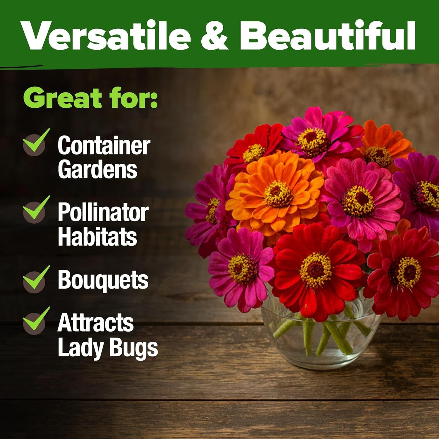 Comprehensive Growing Guide with 524 Zinnia Dahlia Seeds | Colorful & Resilient